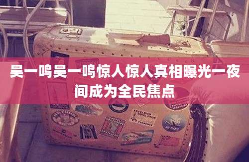 吴一鸣吴一鸣惊人惊人真相曝光一夜间成为全民焦点