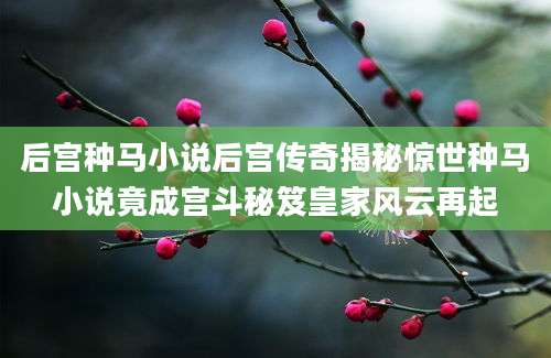 后宫种马小说后宫传奇揭秘惊世种马小说竟成宫斗秘笈皇家风云再起
