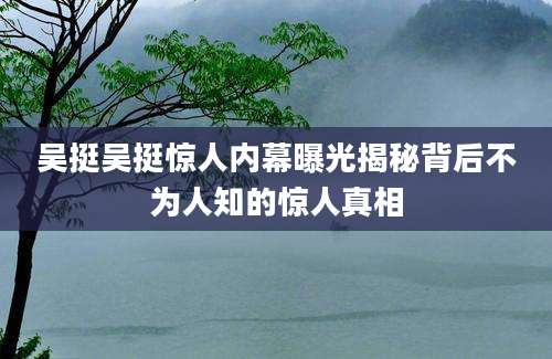 吴挺吴挺惊人内幕曝光揭秘背后不为人知的惊人真相