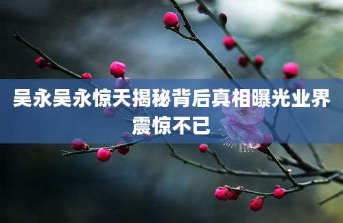 吴永吴永惊天揭秘背后真相曝光业界震惊不已