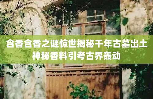 含香含香之谜惊世揭秘千年古墓出土神秘香料引考古界轰动