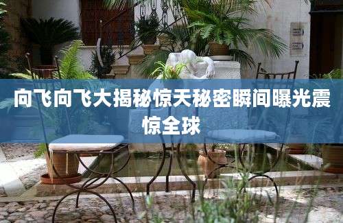 向飞向飞大揭秘惊天秘密瞬间曝光震惊全球