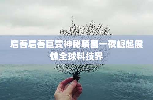 启吾启吾巨变神秘项目一夜崛起震惊全球科技界
