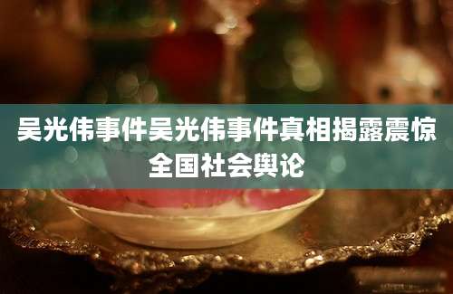 吴光伟事件吴光伟事件真相揭露震惊全国社会舆论