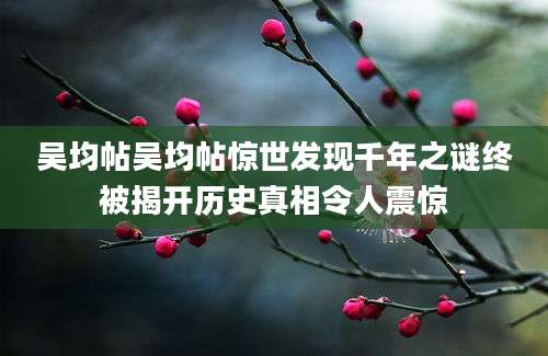 吴均帖吴均帖惊世发现千年之谜终被揭开历史真相令人震惊