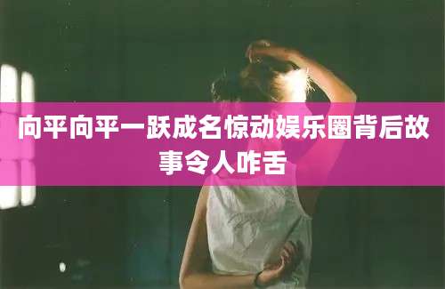 向平向平一跃成名惊动娱乐圈背后故事令人咋舌