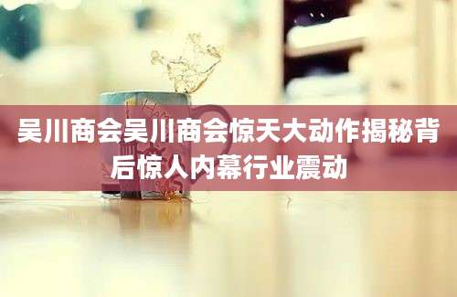 吴川商会吴川商会惊天大动作揭秘背后惊人内幕行业震动