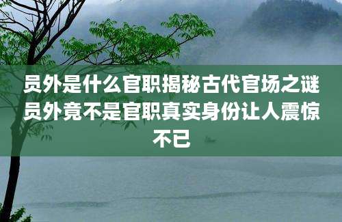 员外是什么官职揭秘古代官场之谜员外竟不是官职真实身份让人震惊不已