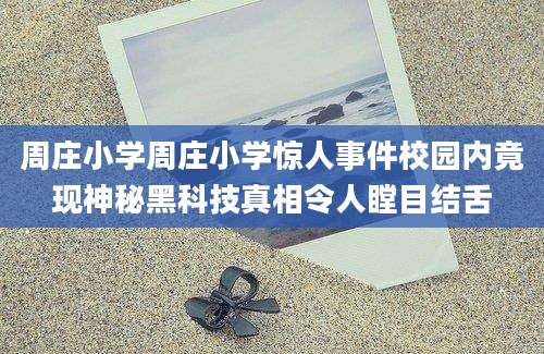 周庄小学周庄小学惊人事件校园内竟现神秘黑科技真相令人瞠目结舌