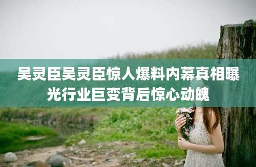 吴灵臣吴灵臣惊人爆料内幕真相曝光行业巨变背后惊心动魄