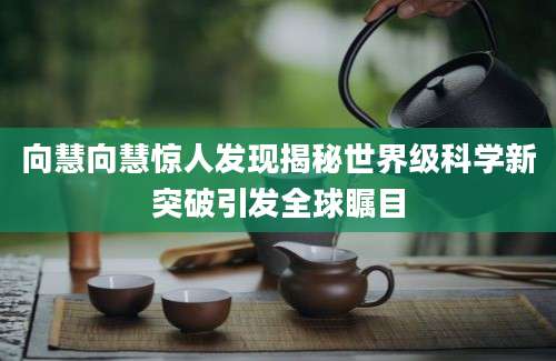 向慧向慧惊人发现揭秘世界级科学新突破引发全球瞩目