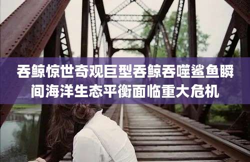 吞鲸惊世奇观巨型吞鲸吞噬鲨鱼瞬间海洋生态平衡面临重大危机