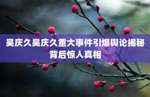 吴庆久吴庆久重大事件引爆舆论揭秘背后惊人真相