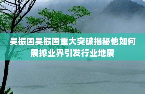 吴振国吴振国重大突破揭秘他如何震撼业界引发行业地震