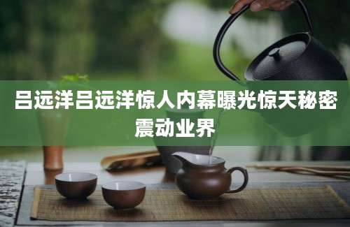 吕远洋吕远洋惊人内幕曝光惊天秘密震动业界
