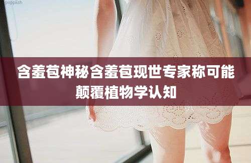 含羞苞神秘含羞苞现世专家称可能颠覆植物学认知