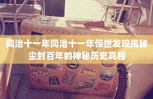 同治十一年同治十一年惊世发现揭秘尘封百年的神秘历史真相
