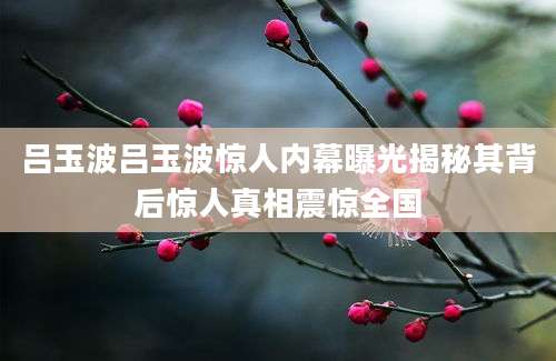 吕玉波吕玉波惊人内幕曝光揭秘其背后惊人真相震惊全国