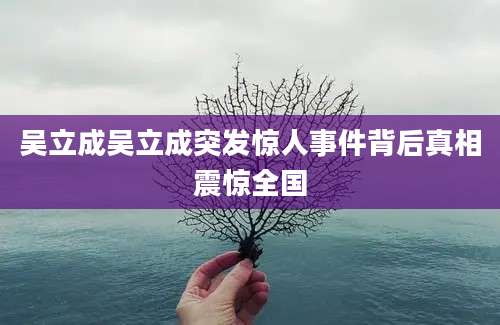 吴立成吴立成突发惊人事件背后真相震惊全国