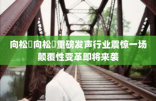 向松拃向松拃重磅发声行业震惊一场颠覆性变革即将来袭