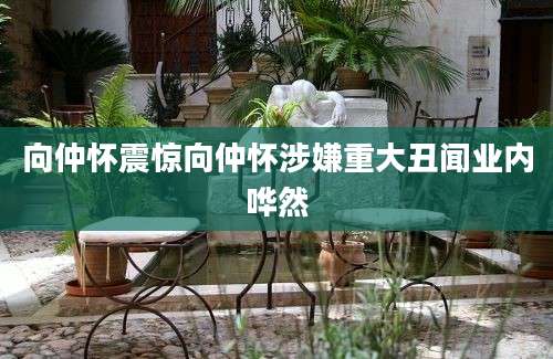 向仲怀震惊向仲怀涉嫌重大丑闻业内哗然