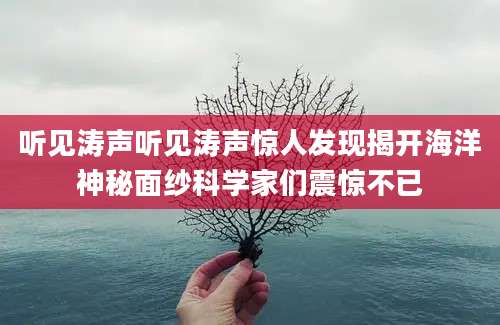 听见涛声听见涛声惊人发现揭开海洋神秘面纱科学家们震惊不已