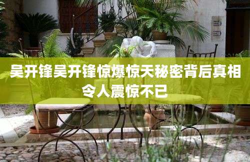 吴开锋吴开锋惊爆惊天秘密背后真相令人震惊不已