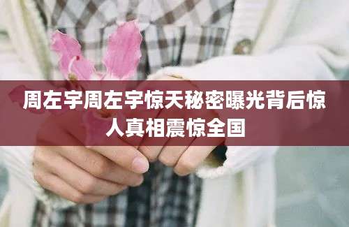 周左宇周左宇惊天秘密曝光背后惊人真相震惊全国