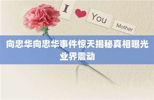 向忠华向忠华事件惊天揭秘真相曝光业界震动
