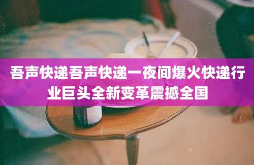 吾声快递吾声快递一夜间爆火快递行业巨头全新变革震撼全国