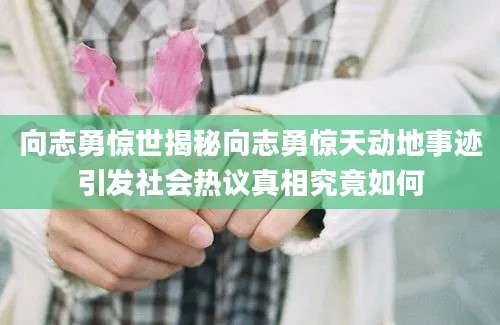 向志勇惊世揭秘向志勇惊天动地事迹引发社会热议真相究竟如何