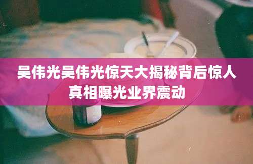 吴伟光吴伟光惊天大揭秘背后惊人真相曝光业界震动