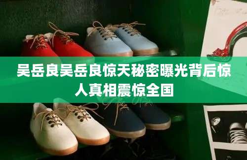 吴岳良吴岳良惊天秘密曝光背后惊人真相震惊全国