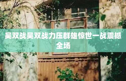 吴双战吴双战力压群雄惊世一战震撼全场