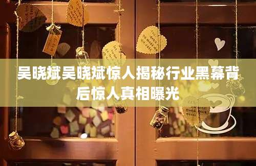 吴晓斌吴晓斌惊人揭秘行业黑幕背后惊人真相曝光