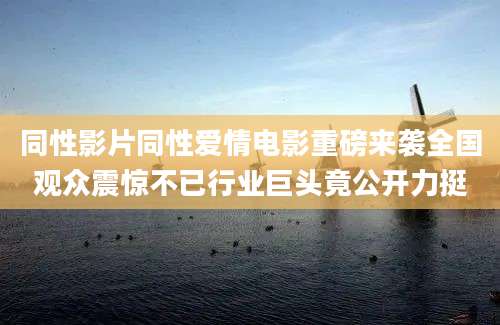 同性影片同性爱情电影重磅来袭全国观众震惊不已行业巨头竟公开力挺