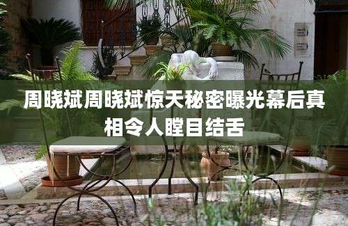 周晓斌周晓斌惊天秘密曝光幕后真相令人瞠目结舌