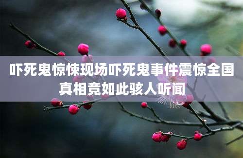 吓死鬼惊悚现场吓死鬼事件震惊全国真相竟如此骇人听闻