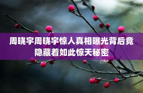 周晓宇周晓宇惊人真相曝光背后竟隐藏着如此惊天秘密