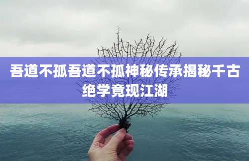 吾道不孤吾道不孤神秘传承揭秘千古绝学竟现江湖