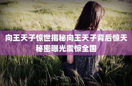 向王天子惊世揭秘向王天子背后惊天秘密曝光震惊全国