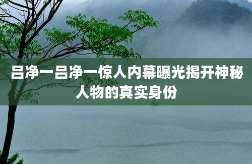 吕净一吕净一惊人内幕曝光揭开神秘人物的真实身份