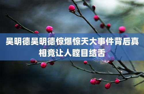吴明德吴明德惊爆惊天大事件背后真相竟让人瞠目结舌