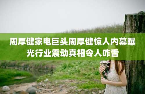 周厚健家电巨头周厚健惊人内幕曝光行业震动真相令人咋舌