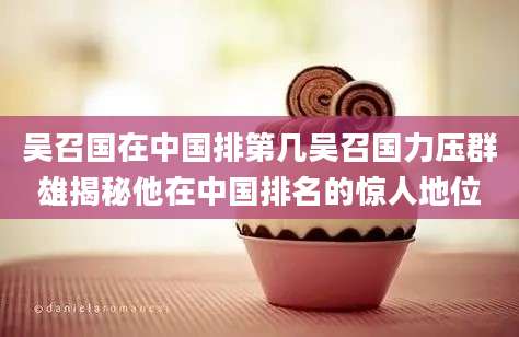 吴召国在中国排第几吴召国力压群雄揭秘他在中国排名的惊人地位