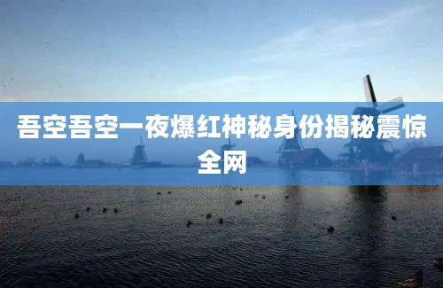 吾空吾空一夜爆红神秘身份揭秘震惊全网