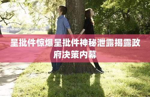 呈批件惊爆呈批件神秘泄露揭露政府决策内幕