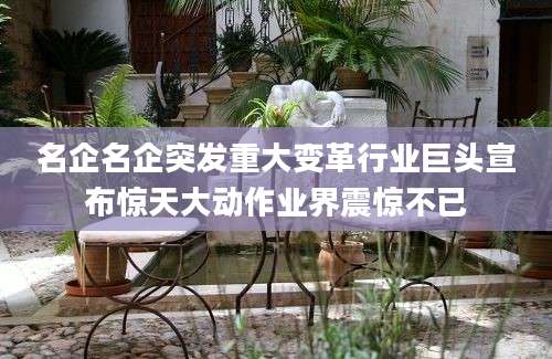 名企名企突发重大变革行业巨头宣布惊天大动作业界震惊不已
