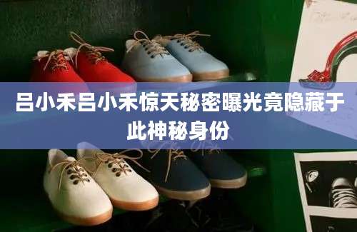 吕小禾吕小禾惊天秘密曝光竟隐藏于此神秘身份
