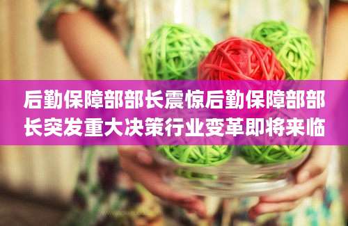 后勤保障部部长震惊后勤保障部部长突发重大决策行业变革即将来临
